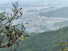 -梧桐山风景名胜区