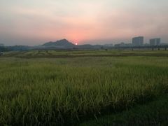 -光明小镇欢乐田园