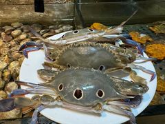 -领鲜活海鲜榴莲自助火锅(东门店)