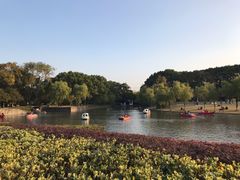 -上海方塔园