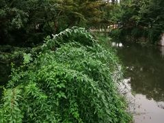 -兰溪青年公园