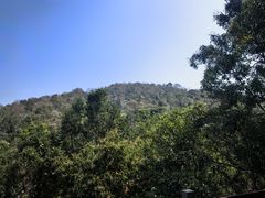 -野象谷景区