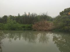 -和茶馆(西溪栖悦城店)