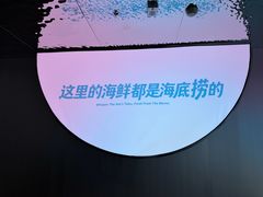 -海底捞大排档火锅(打浦路店)
