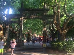 -杭州黄龙洞