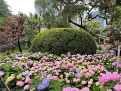 -静安公园(静安寺街道)