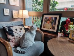 -咖法森林·咖啡  酒吧(天河店)