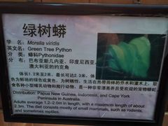 -上海大自然野生昆虫馆(东方明珠·爬宠昆虫探索中心)