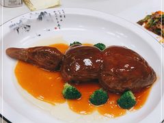 -丁老爷子苏香圆