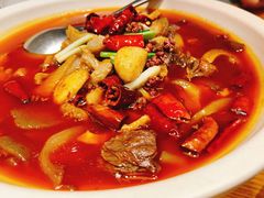 -丹江渔村(望京店)