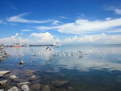 -青海湖国家重点风景名胜区