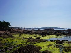 -青岛第二海水浴场