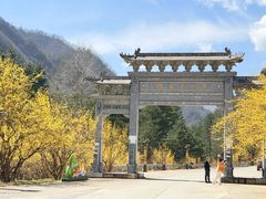 -黑河国家森林公园