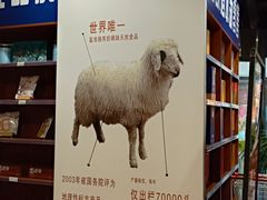 -胡杨记忆(和平路店)