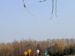 -郑州植物园