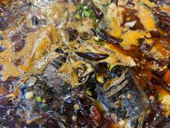 -陈记鱼厨卫城老店