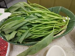 广东空心菜-潮汕林记牛肉火锅(万象天地店)