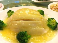 -丁老爷子苏香圆