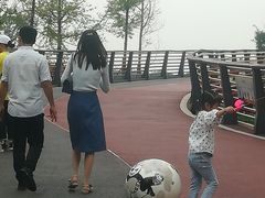 -府河摄影公园