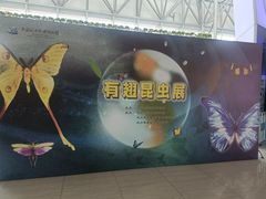 -中国杭州低碳科技馆