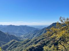 -大岭沟猕猴桃谷风景区