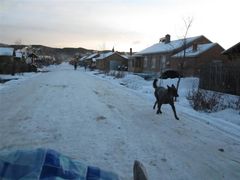 -北极村旅游风景区