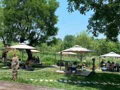 -Supine Bistro溯泮餐厅