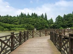 -上海海湾国家森林公园