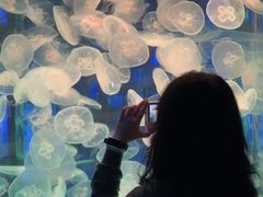 -左海海底世界
