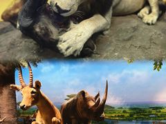 -国家自然博物馆