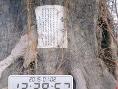 -大槐树寻根祭祖园