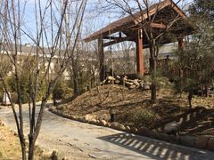 -国御温泉度假小镇