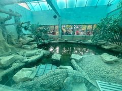 -广州动物园