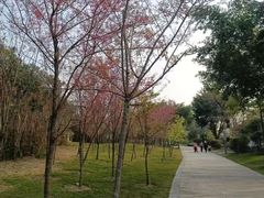 -仓山金山寺