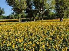 -长白岛森林公园