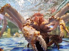 -老伙记海鲜码头(北滘店)