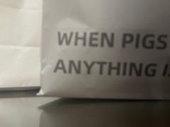 -WHEN PIGS FLY当猪飞