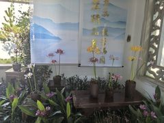 -杭州植物园