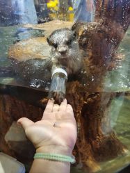 -Zoolung Zoolung动物主题公园(海信广场店)