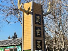-北京鹿世界主题园
