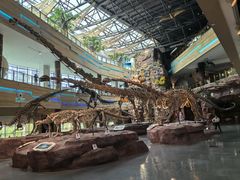 -安徽省地质博物馆