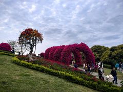-东莞植物园