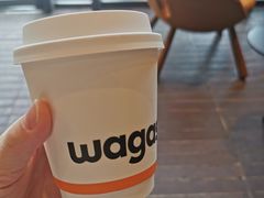 -Wagas沃歌斯(汇智店)