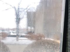 -陆地游轮吉林神农温泉