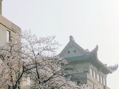 -武汉大学-樱园