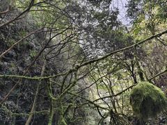 -夏霖九天银瀑风景区