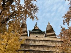 -北京石刻艺术博物馆(五塔寺)