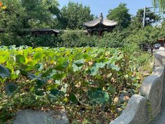 -勺园中餐厅