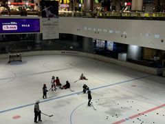 -TheRink大零溜冰场(IFS国金中心店)