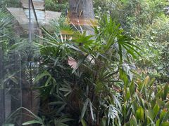 -大妙火锅·非物质文化遗产(东湖公园店)